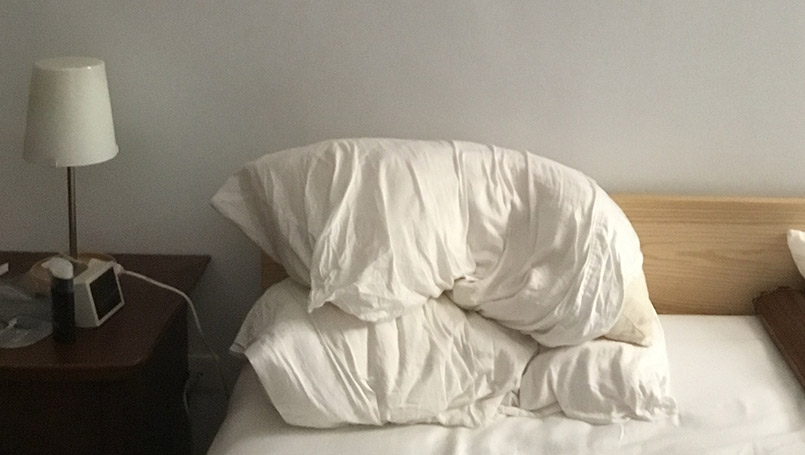 oreillers classiques plume